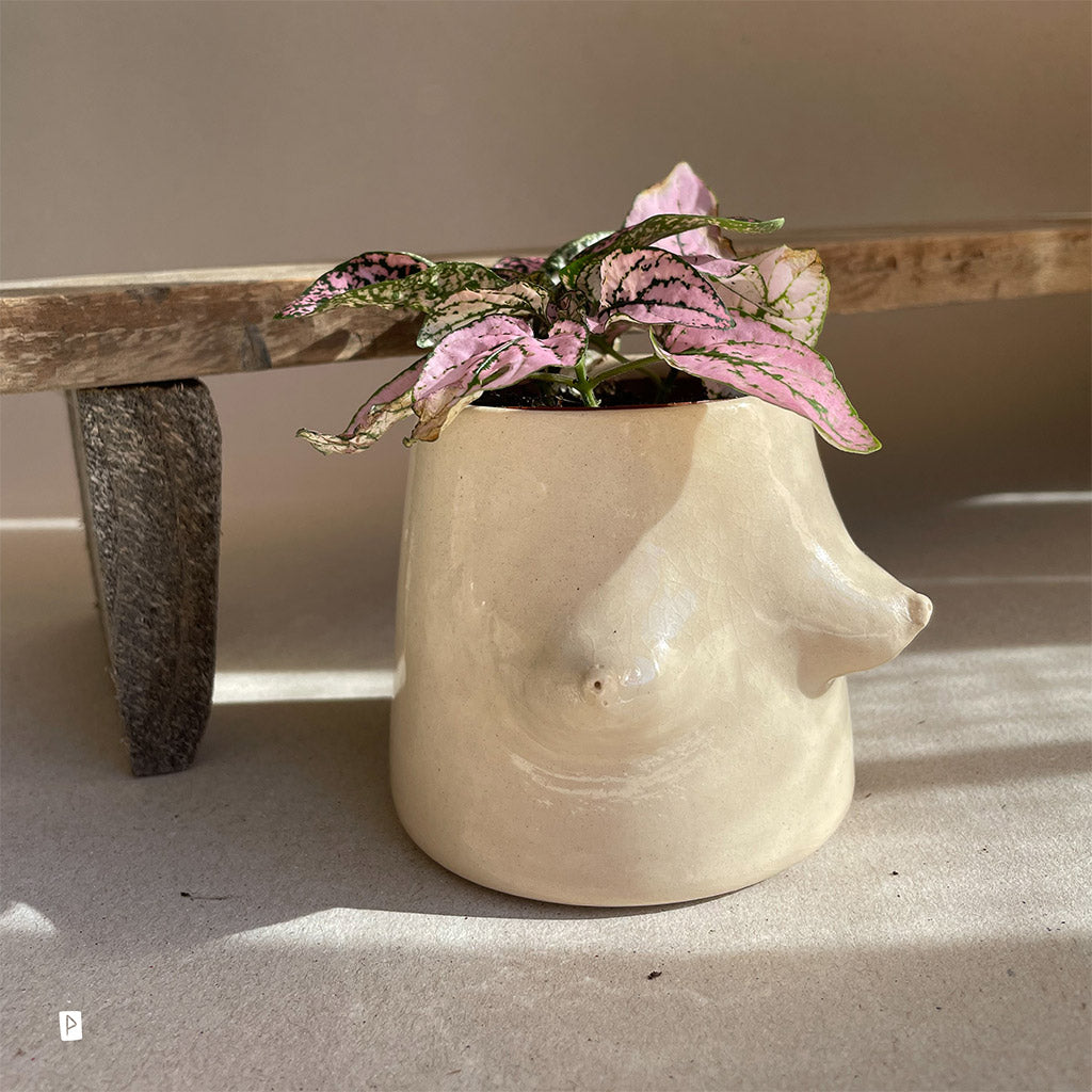 MINI GLAZED FLOWERPOT