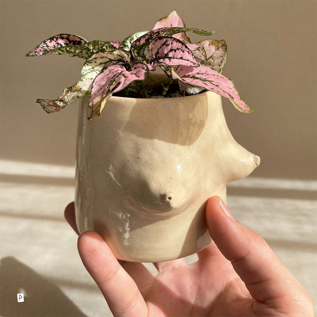 MINI GLAZED FLOWERPOT