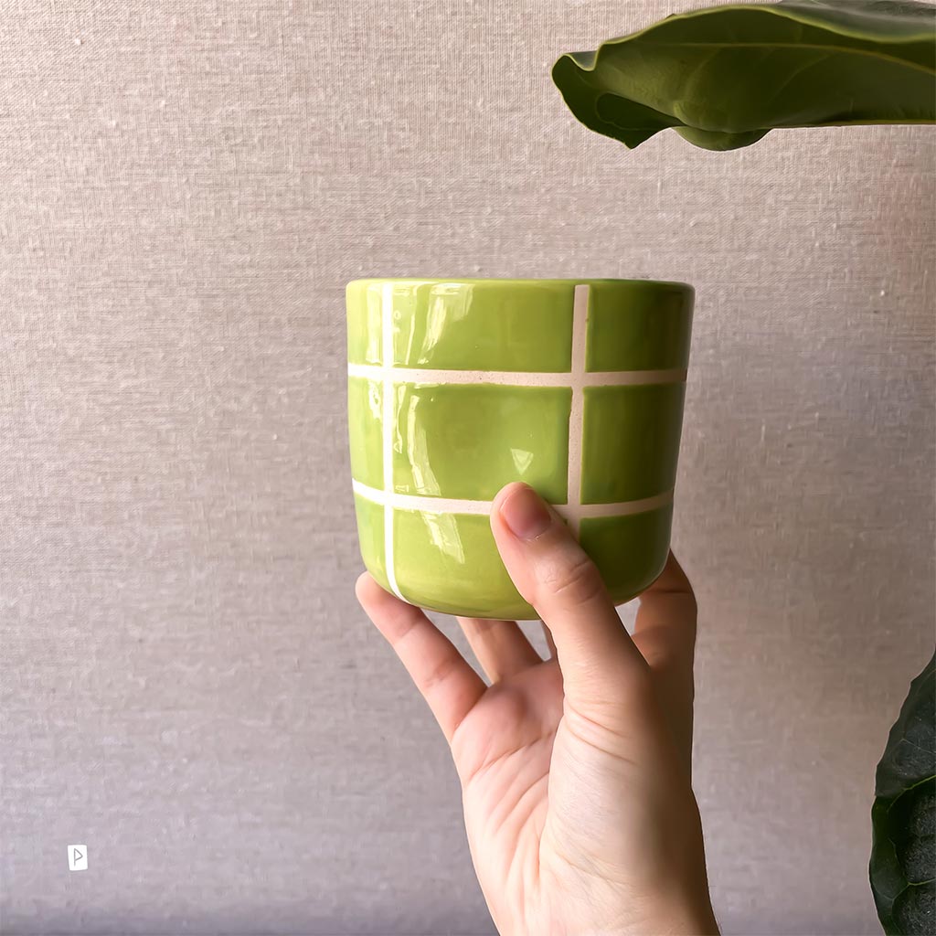 Taza de cerámica con cuadrícula verde